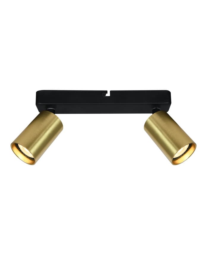 Stropna svjetiljka SPOT 2 BRASS 2xGU10