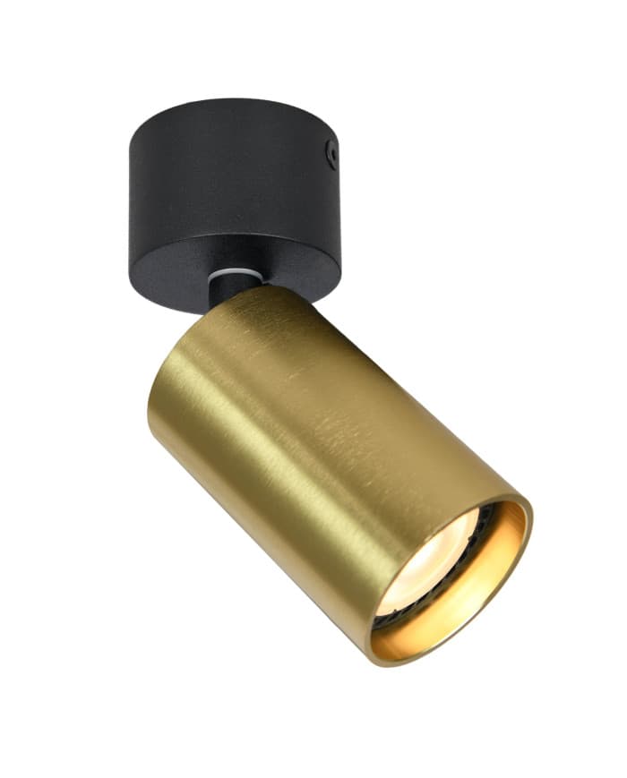 Stropna svjetiljka SPOT 5010/1 BRASS