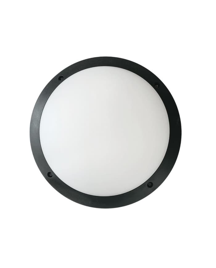 Zidna / stropna svjetiljka LUCIA BLACK OPAL E27